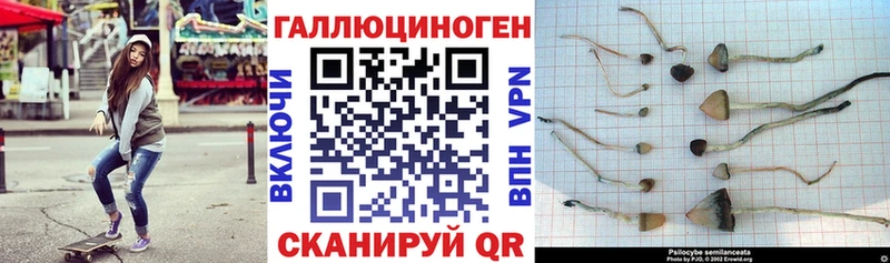 Псилоцибиновые грибы GOLDEN TEACHER  Сосногорск 